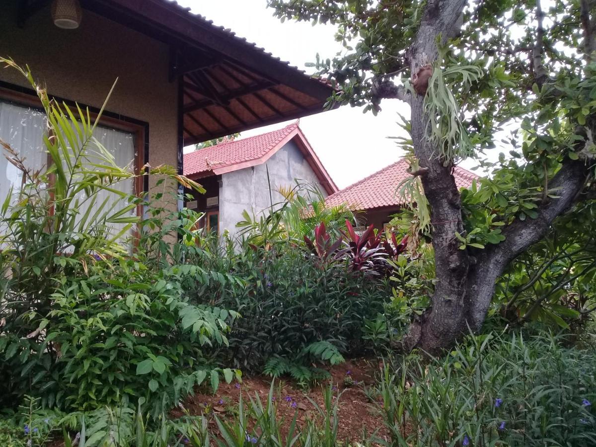 Eliska Sari Bungalows Sumberkima Пемутеран Екстер'єр фото
